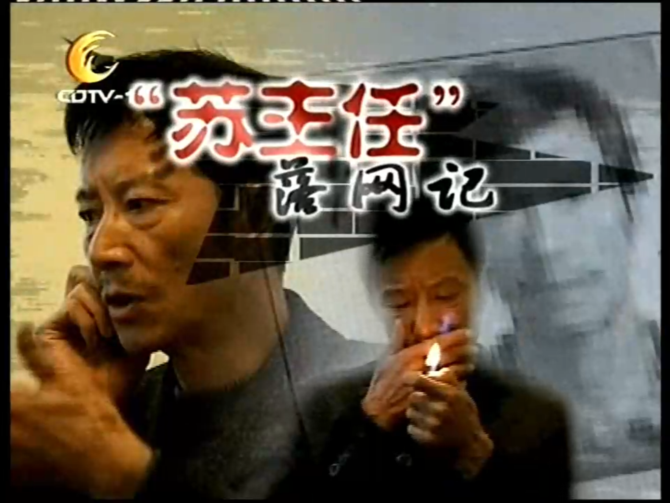 新闻新读-“苏主任”落网记