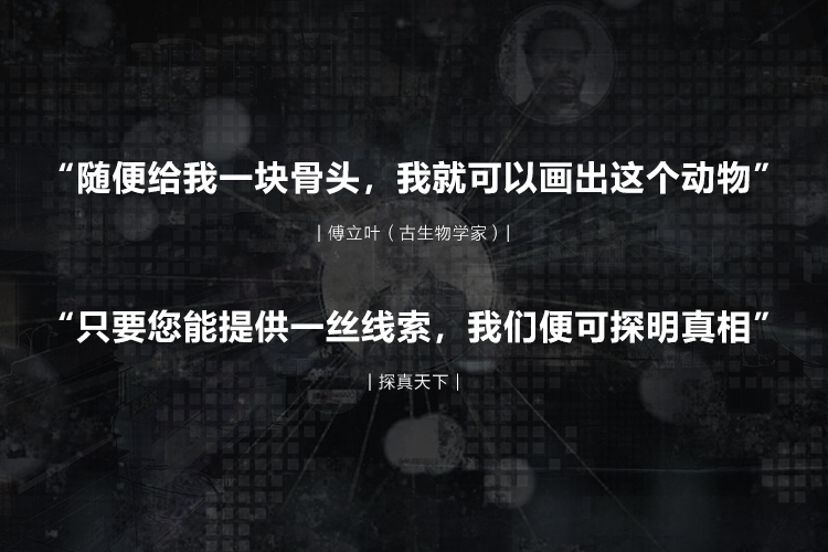 龙8-long8(国际)唯一官方网站